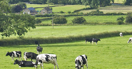 home-page-image-group-3