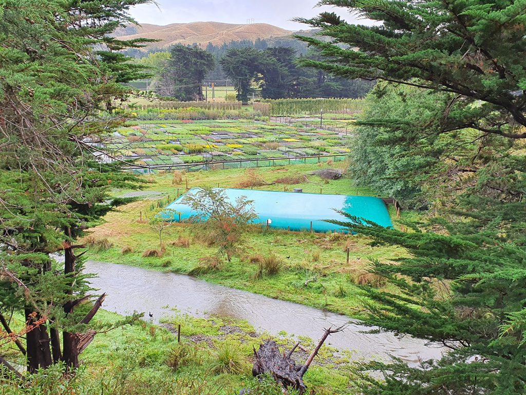 This 400m3 water bladder at a nursery near Wellington is used to store water for use at critical times over summer